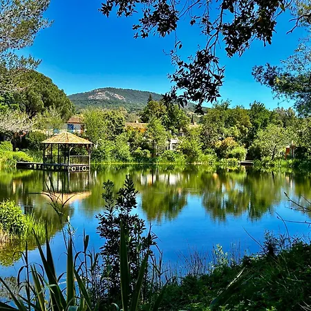 Les Restanques Vue 3 3121 *