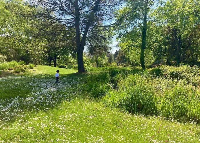 Les Restanques Vue 3 3121 Апартаменты *